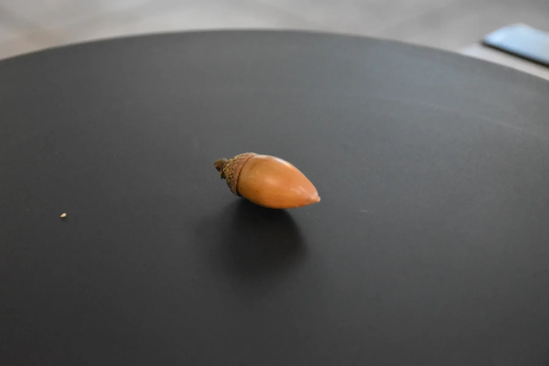 Models: Objects and Qualities — project image 4