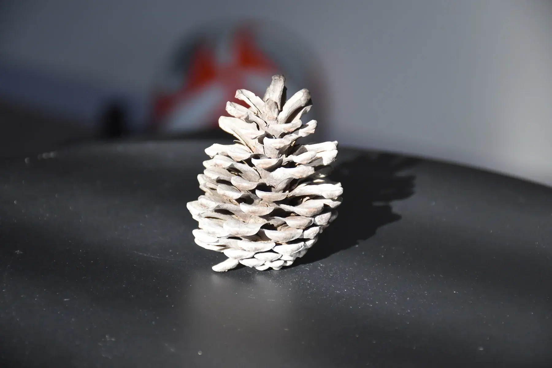 Models: Objects and Qualities — project image 2