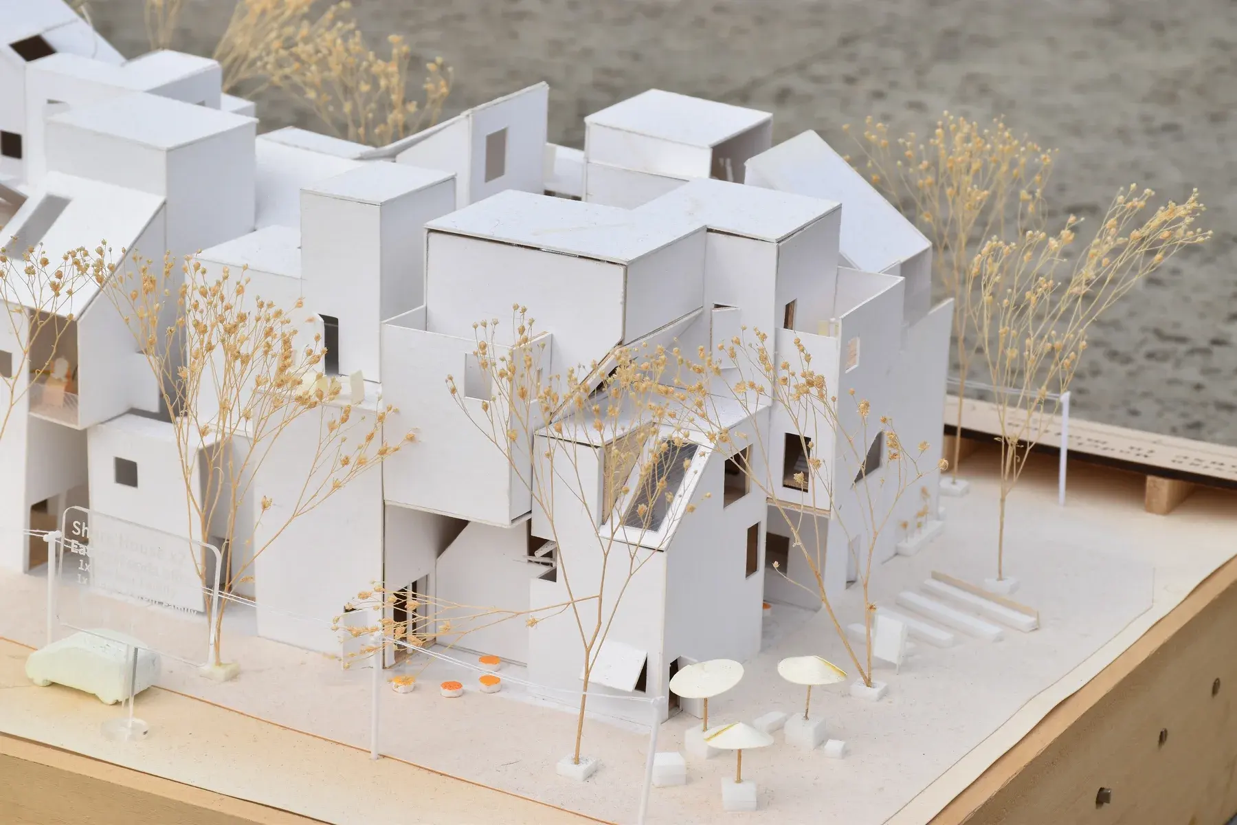 House in Motion/ Thesis — project image 7