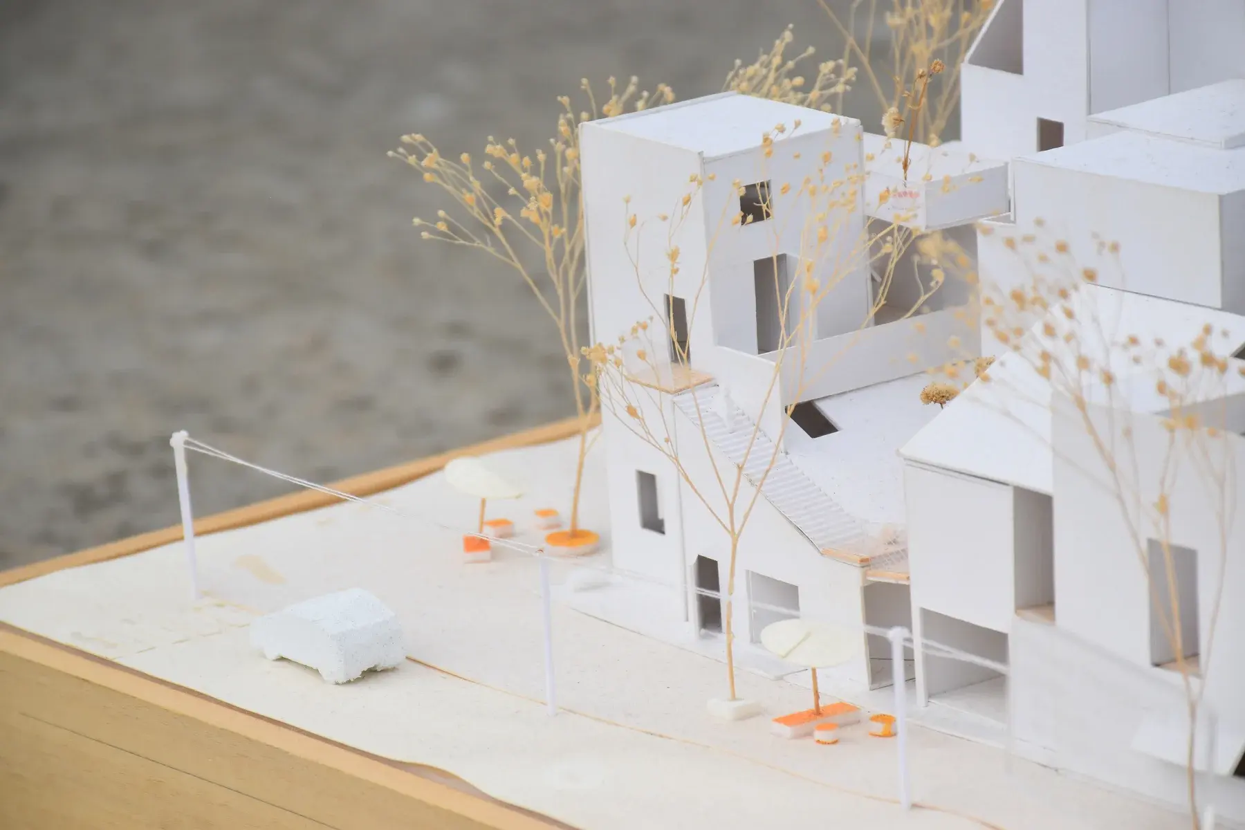 House in Motion/ Thesis — project image 6